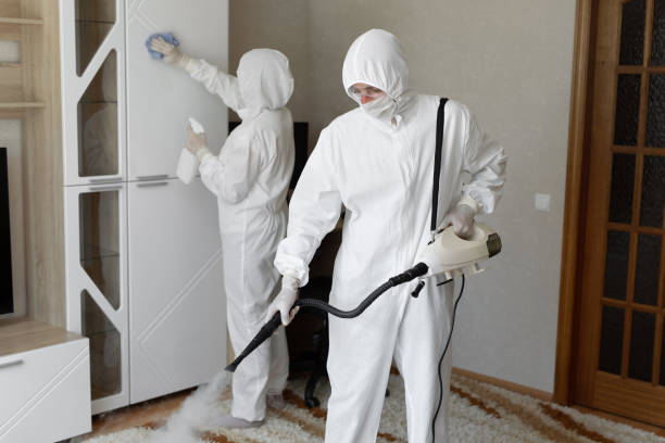 24/7 Emergency Odor Removal experts in Ferndale, MI