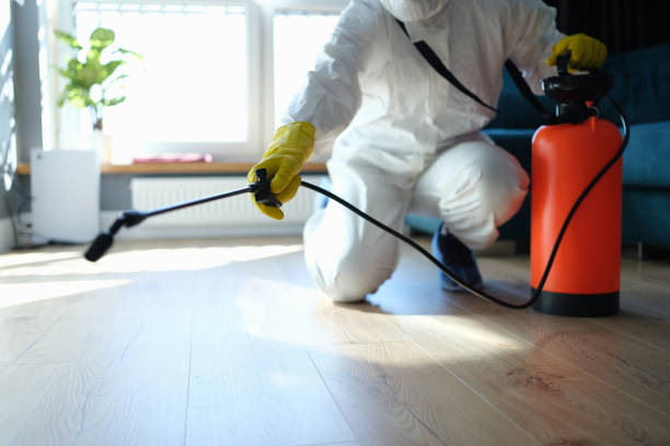 Reliable Odor Removal contractor in Ferndale, MI by Trauma Clean Pros